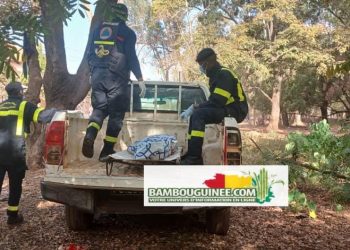 Labé : le corps sans vie d’un vieil homme découvert à Tata 1