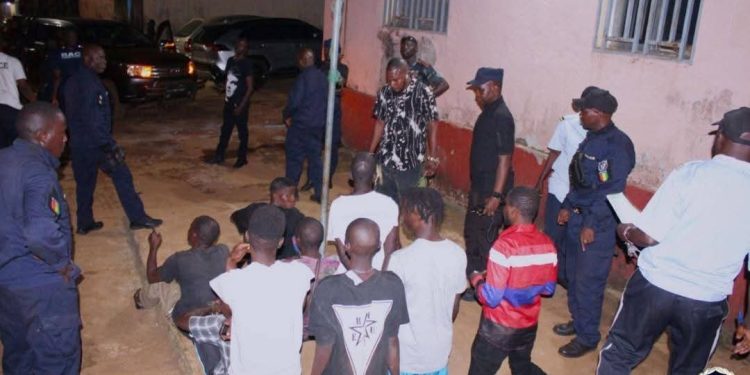 Lutte contre la drogue : nouvelle offensive des BAC à Conakry, plusieurs interpellations et saisies de chanvre indien