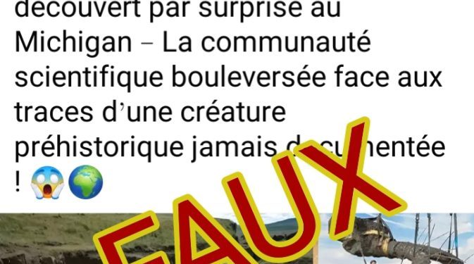 Fact‑Checking : Non, aucun mammouth vieux de 6 millions d’années n’a été découvert au Michigan