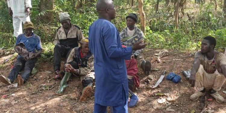 Kissidougou : une vaste campagne de reboisement lancée par l’ONG ADECO-Guinée à Yassardou pour sauver l’environnement