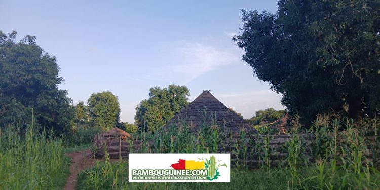 Guinée – Koundara – Immersion au cœur des traditions Foulacounda : quand patronymes et prénoms racontent l’histoire