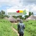 Guinée – Koundara : À la rencontre des Koniagui, gardiens d’une culture millénaire