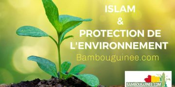 Le Coran, pionnier de l’écologie : un verset divin qui somme de protéger notre Terre
