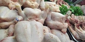Guinée : Le poulet brésilien à bas prix qui étouffe nos fermes locales