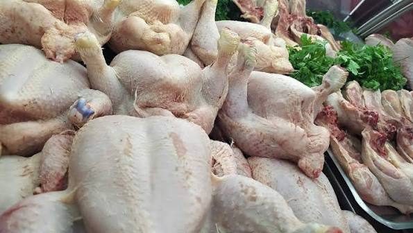 Guinée : Le poulet brésilien à bas prix qui étouffe nos fermes locales