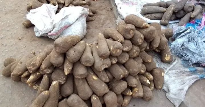 L’igname, le tubercule africain qui booste votre énergie et protège votre santé !