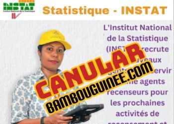 CANULAR : La direction de l’institut national de la statistique Guinée n’a pas annoncé un recrutement de nouveaux agents comme le prétend ce site web