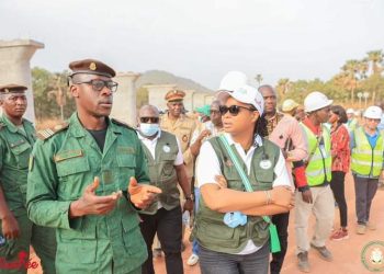 Protection de l’Environnement : Défis et lacunes en matière d’engagements pris par la Guinée 
