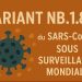 Santé : NB.1.8.1, un nouveau variant du SARS-CoV-2 sous surveillance mondiale