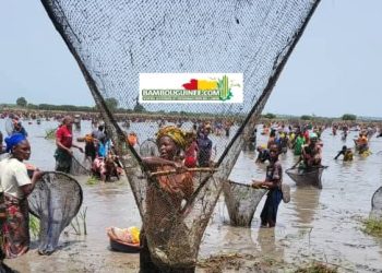 Guinée : Nounkounkan célèbre la Fête de la Marre entre traditions, culture et cohésion sociale