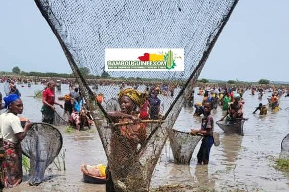 Guinée : Nounkounkan célèbre la Fête de la Marre entre traditions, culture et cohésion sociale