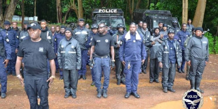 Opération « OURAGAN » à Ratoma : 15 interpellation et une saisie Importante de stupéfiants et d’armes