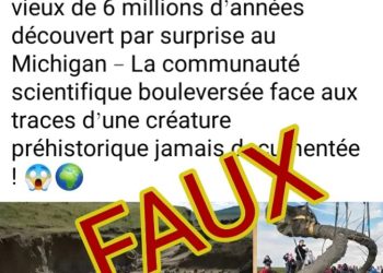 Fact‑Checking : Non, aucun mammouth vieux de 6 millions d’années n’a été découvert au Michigan