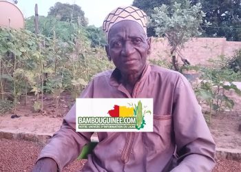 Guinée – À la Découverte des Badiarankés : Une Plongée dans la Culture et les Traditions de Koundara