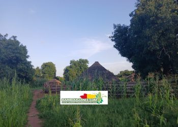 Guinée – Koundara – Immersion au cœur des traditions Foulacounda : quand patronymes et prénoms racontent l’histoire