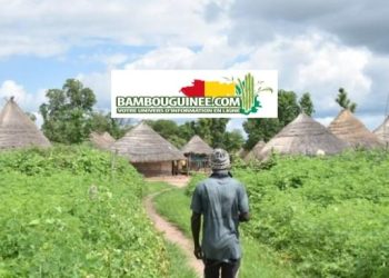 Guinée – Koundara : À la rencontre des Koniagui, gardiens d’une culture millénaire