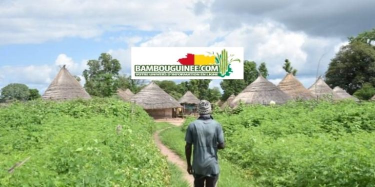 Guinée – Koundara : À la rencontre des Koniagui, gardiens d’une culture millénaire