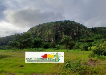 Guinée – Koundara : Au Cœur Battant des Traditions Mandingo