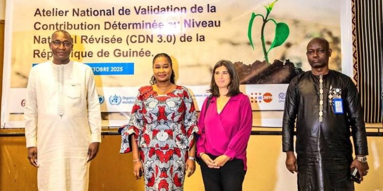 Environnement : La Guinée passe à l’action climatique avec la validation de sa CDN 3.0