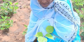 COP30 à Belém : La présidente de l’ONG OPEESC Guinée appelle à une action climatique responsable et ouvre la porte à des partenariats mondiaux