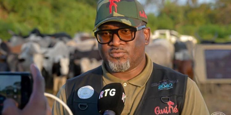 Élevage : La Guinée dit stop à l’abattage clandestin et à la transhumance sauvage et Félix Lamah est sur le front