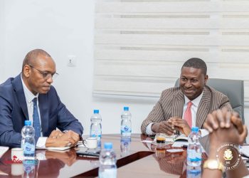 Guinée : 80 MW de solaire pour électrifier le pays !