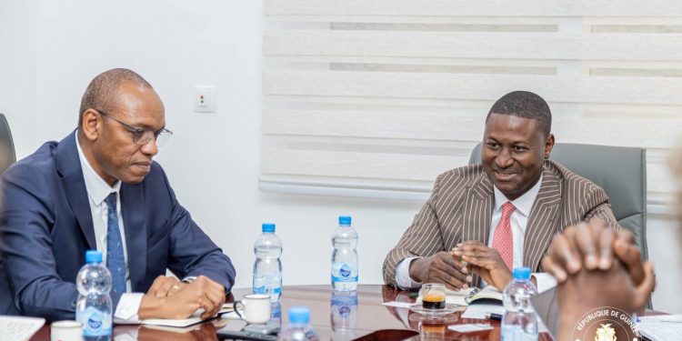 Guinée : 80 MW de solaire pour électrifier le pays !