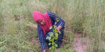 COP30 à Belém : La présidente de l’ONG OPEESC Guinée appelle à une action climatique responsable et ouvre la porte à des partenariats mondiaux