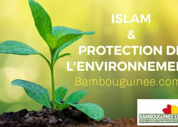 Le Coran, pionnier de l’écologie : un verset divin qui somme de protéger notre Terre