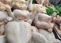 Guinée : Le poulet brésilien à bas prix qui étouffe nos fermes locales