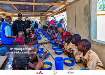 Bols plastiques en cantine : quand le geste symbolique du PAM cache un risque sanitaire majeur pour les enfants