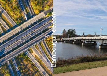 Pont ou échangeur : ne confondez plus ces géants de la route !