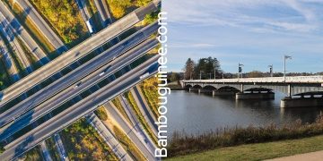 Pont ou échangeur : ne confondez plus ces géants de la route !