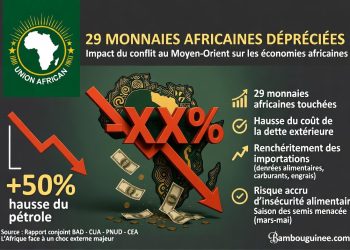 Conflit au Moyen-Orient : 29 monnaies africaines s’effondrent, l’Afrique face à un choc économique majeur