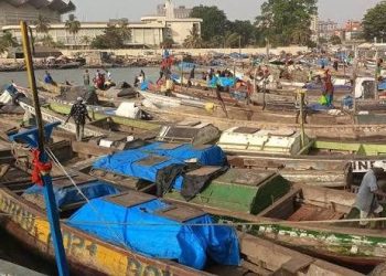 Guinée : lancement du projet KOUNKI, un investissement de 128 millions de dollars pour l’emploi et la sécurité alimentaire