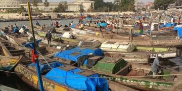 Guinée : lancement du projet KOUNKI, un investissement de 128 millions de dollars pour l’emploi et la sécurité alimentaire