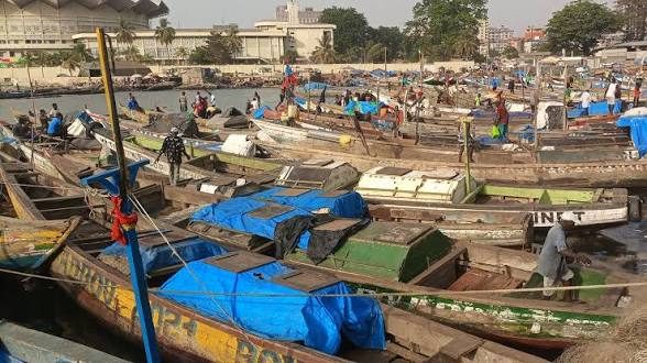 Guinée : lancement du projet KOUNKI, un investissement de 128 millions de dollars pour l’emploi et la sécurité alimentaire
