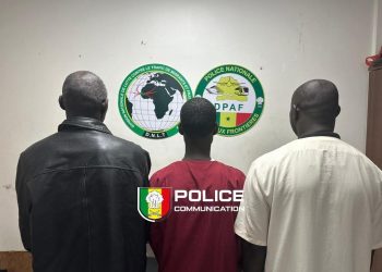 Sénégal – Arnaque aux visas Schengen et faux milliards : Un réseau criminel démantelé à Dakar