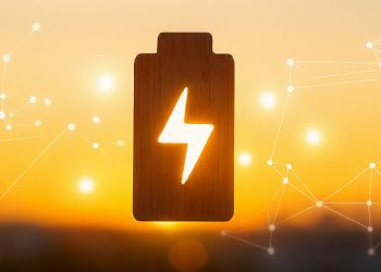 Le Cameroun développe des comptes énergétiques pour promouvoir des politiques énergétiques, économiques et environnementales plus intelligentes.