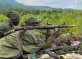 En RDC, la paix sur le papier, la guerre sur le terrain
