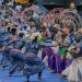 Sierra Leone : Les Ballets Africains de Guinée enflamment le Sommet de la CEDEAO à Lungi et signent un grand retour