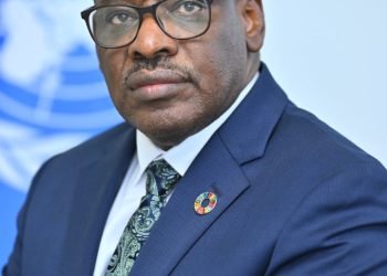 Les minéraux critiques de la SADC peuvent alimenter la transformation structurelle de l&rsquo;Afrique (Par Claver Gatete)
