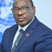 Les minéraux critiques de la SADC peuvent alimenter la transformation structurelle de l’Afrique (Par Claver Gatete)