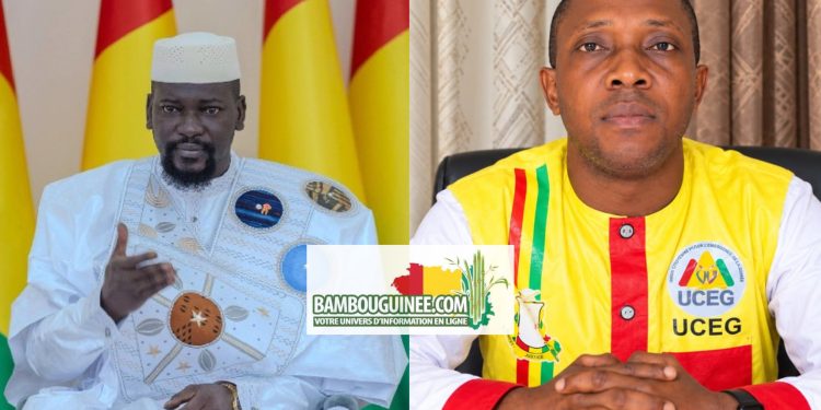 LETTRE OUVERTE À SON EXCELLENCE MONSIEUR LE PRÉSIDENT DE LA RÉPUBLIQUE DE GUINÉE